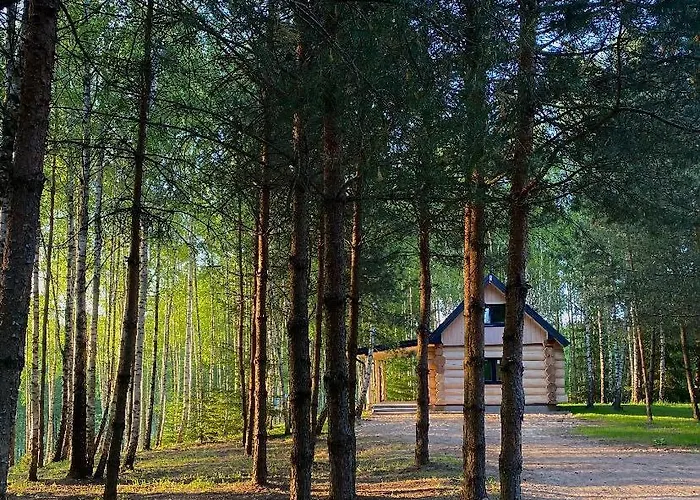 Lesne Klimaty